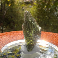 Moldavite 2.3 grams #2167-Moldavite Life