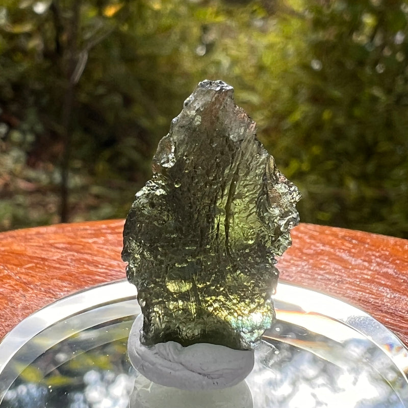 Moldavite 2.3 grams #2167-Moldavite Life