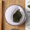 Moldavite 2.3 grams #2167-Moldavite Life