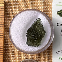 Moldavite 2.3 grams #2167-Moldavite Life