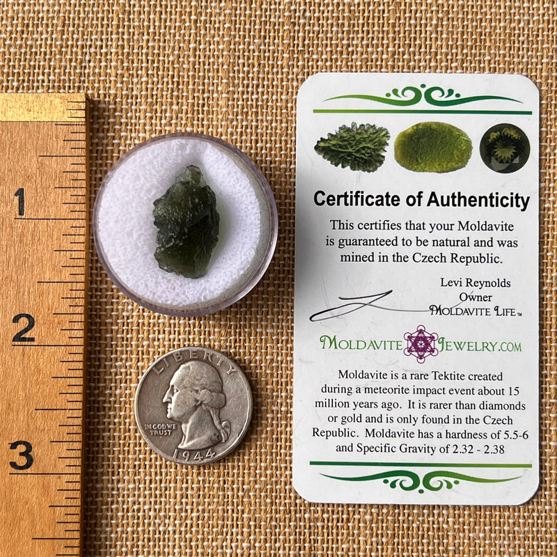 Moldavite 2.3 grams #2167-Moldavite Life