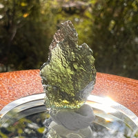 Moldavite 2.3 grams #2167-Moldavite Life