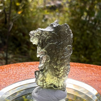 Moldavite 2.3 grams #2169-Moldavite Life