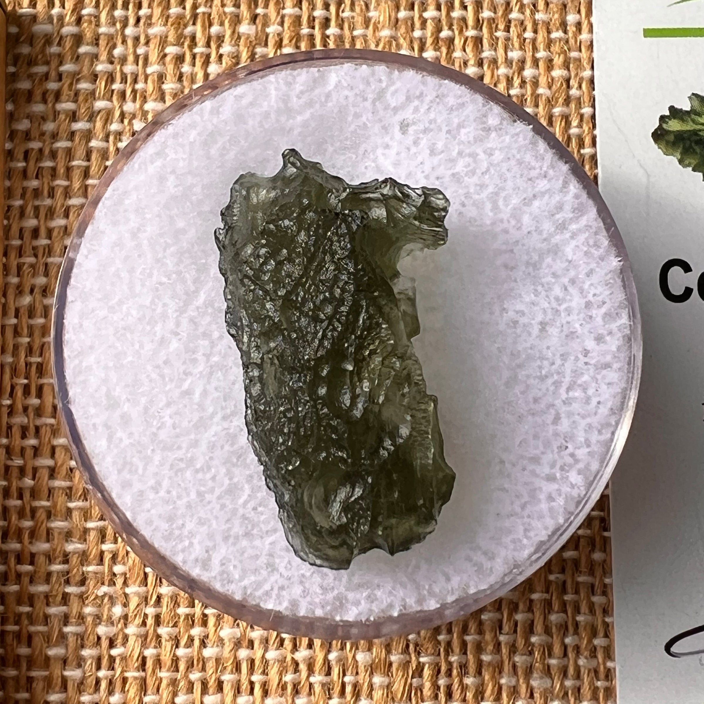 Moldavite 2.3 grams #2169-Moldavite Life