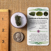 Moldavite 2.3 grams #2169-Moldavite Life