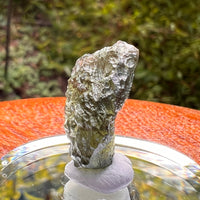 Moldavite 2.3 grams #2176-Moldavite Life