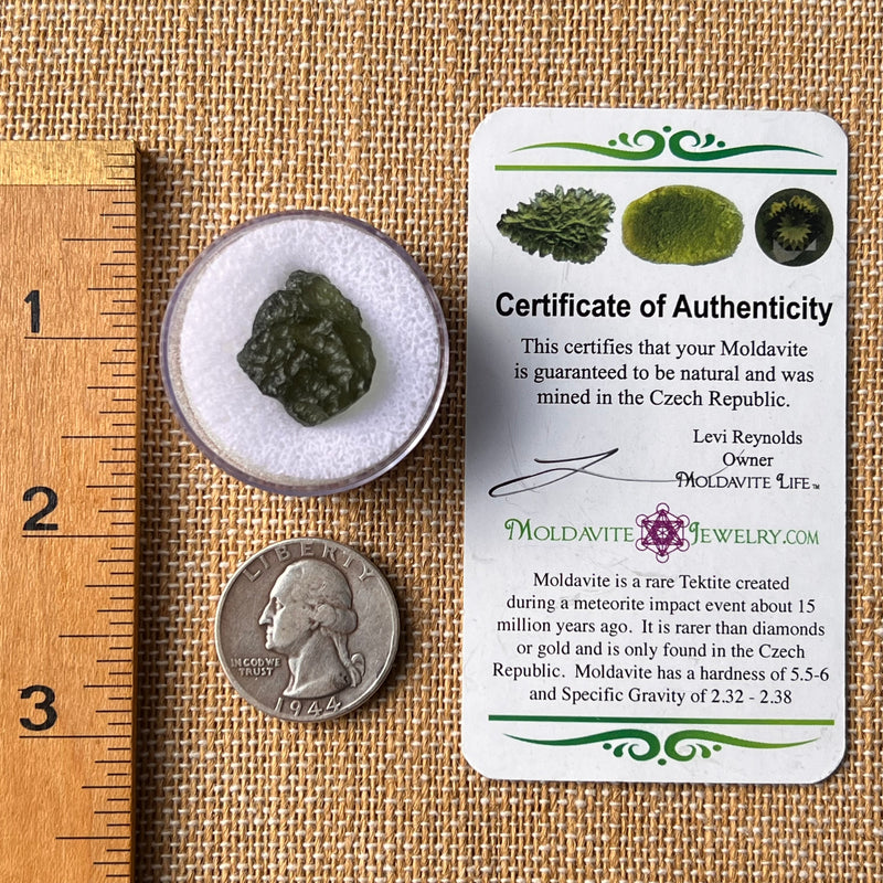 Moldavite 2.3 grams #2176-Moldavite Life