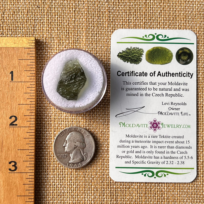 Moldavite 2.3 grams #2182-Moldavite Life