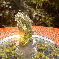 Moldavite 2.3 grams #2191-Moldavite Life