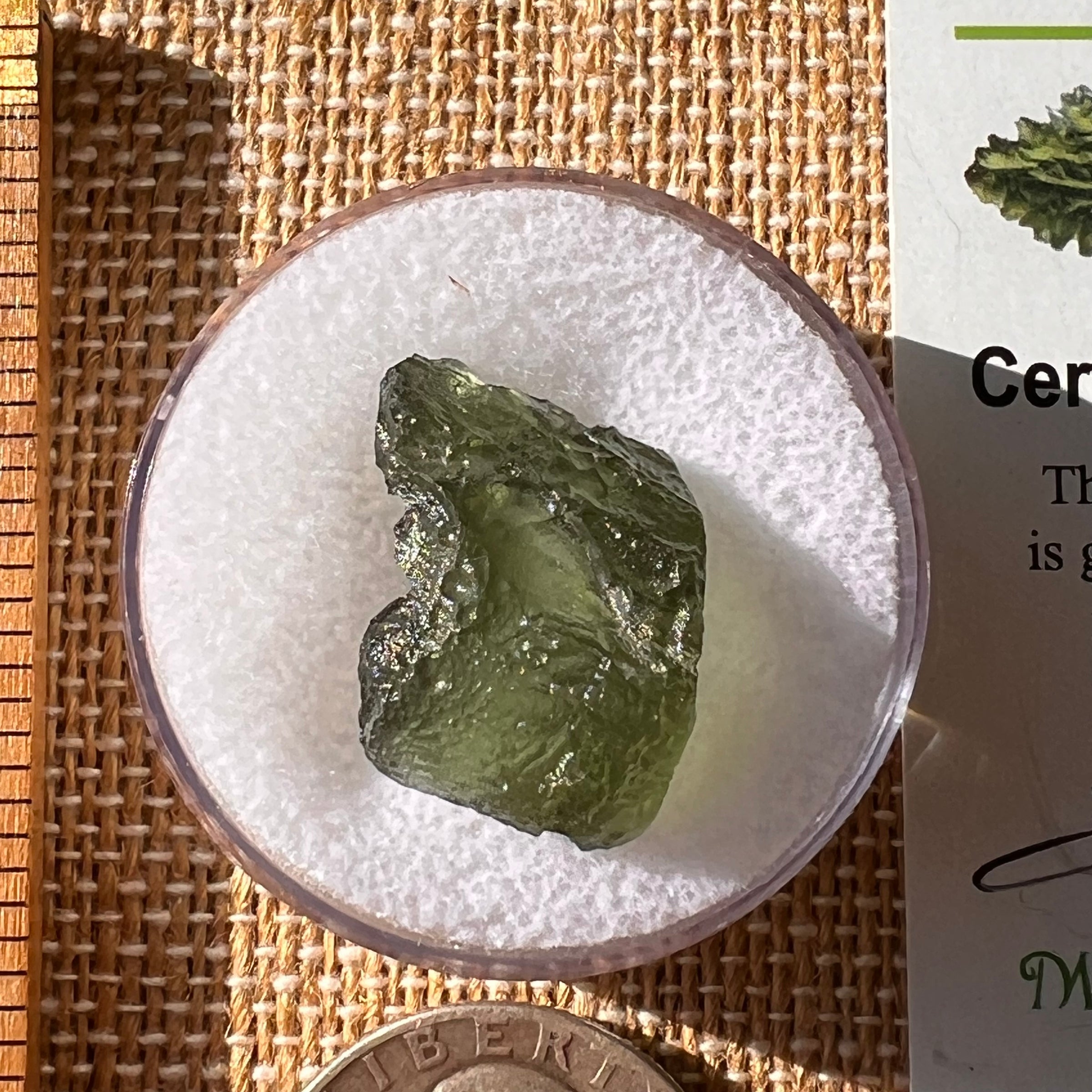 Moldavite 2.3 grams #2191-Moldavite Life