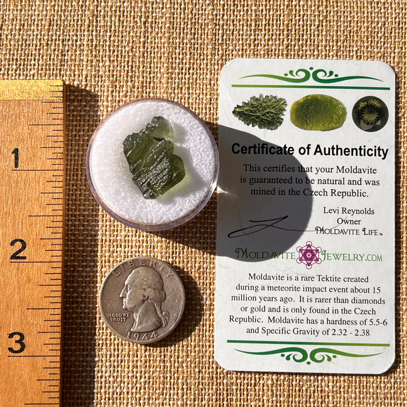 Moldavite 2.3 grams #2191-Moldavite Life