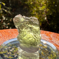 Moldavite 2.3 grams #2191-Moldavite Life