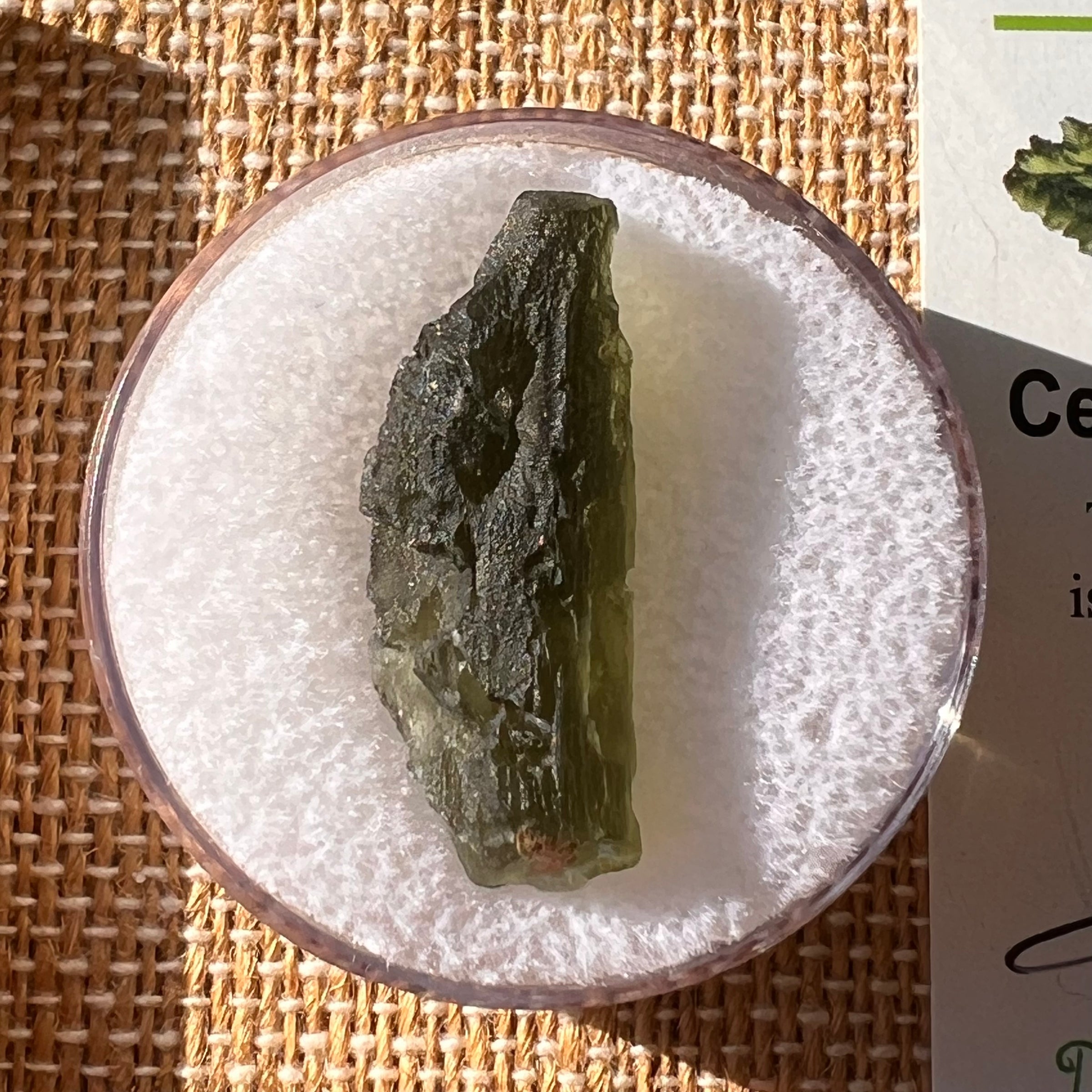 Moldavite 2.3 grams #2195-Moldavite Life