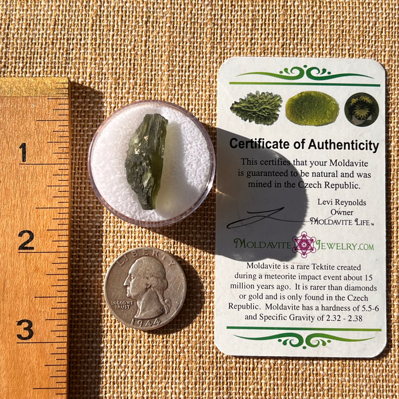 Moldavite 2.3 grams #2195-Moldavite Life