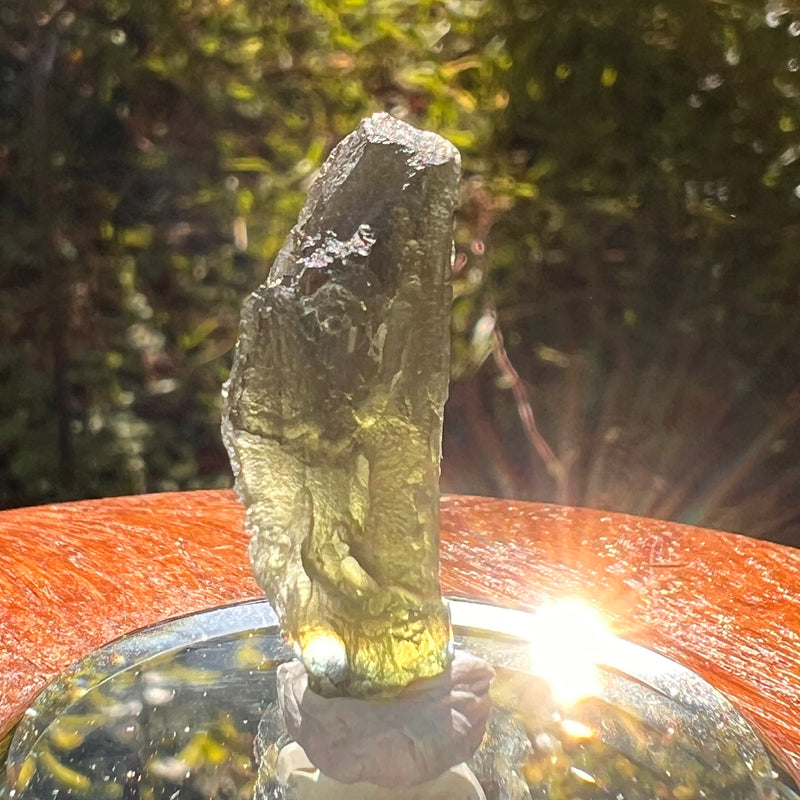Moldavite 2.3 grams #2195-Moldavite Life