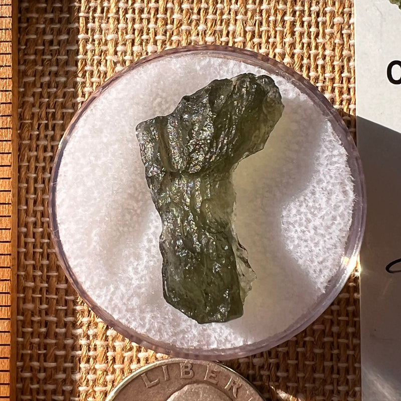 Moldavite 2.3 grams #2202-Moldavite Life