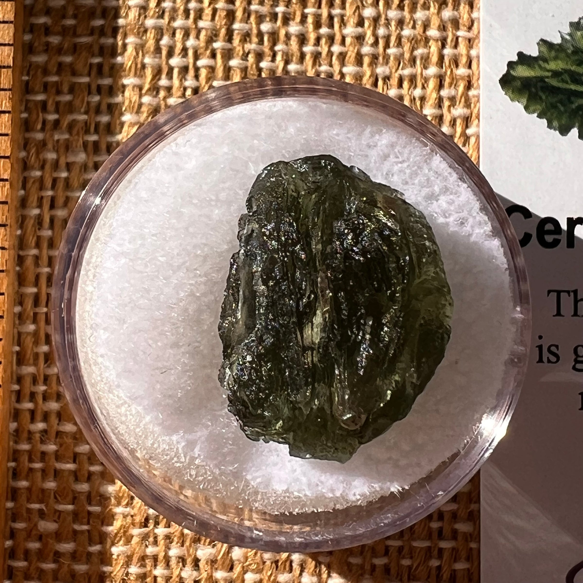Moldavite 2.3 grams #2275-Moldavite Life