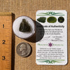 Moldavite 2.3 grams #2321-Moldavite Life