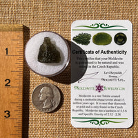Moldavite 2.3 grams #2321-Moldavite Life