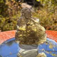 Moldavite 2.3 grams #2321-Moldavite Life