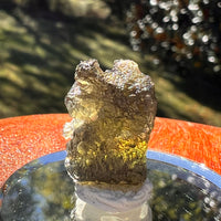 Moldavite 2.3 grams #2343-Moldavite Life