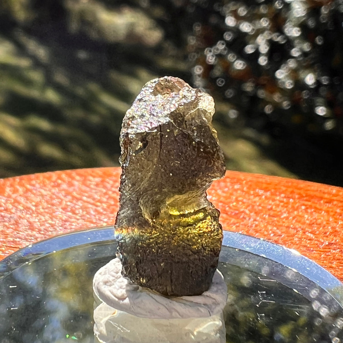Moldavite 2.3 grams #2343-Moldavite Life