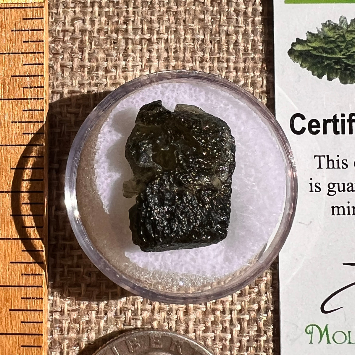 Moldavite 2.3 grams #2343-Moldavite Life