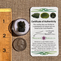 Moldavite 2.3 grams #2343-Moldavite Life
