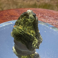 Moldavite 2.4 grams #1871-Moldavite Life