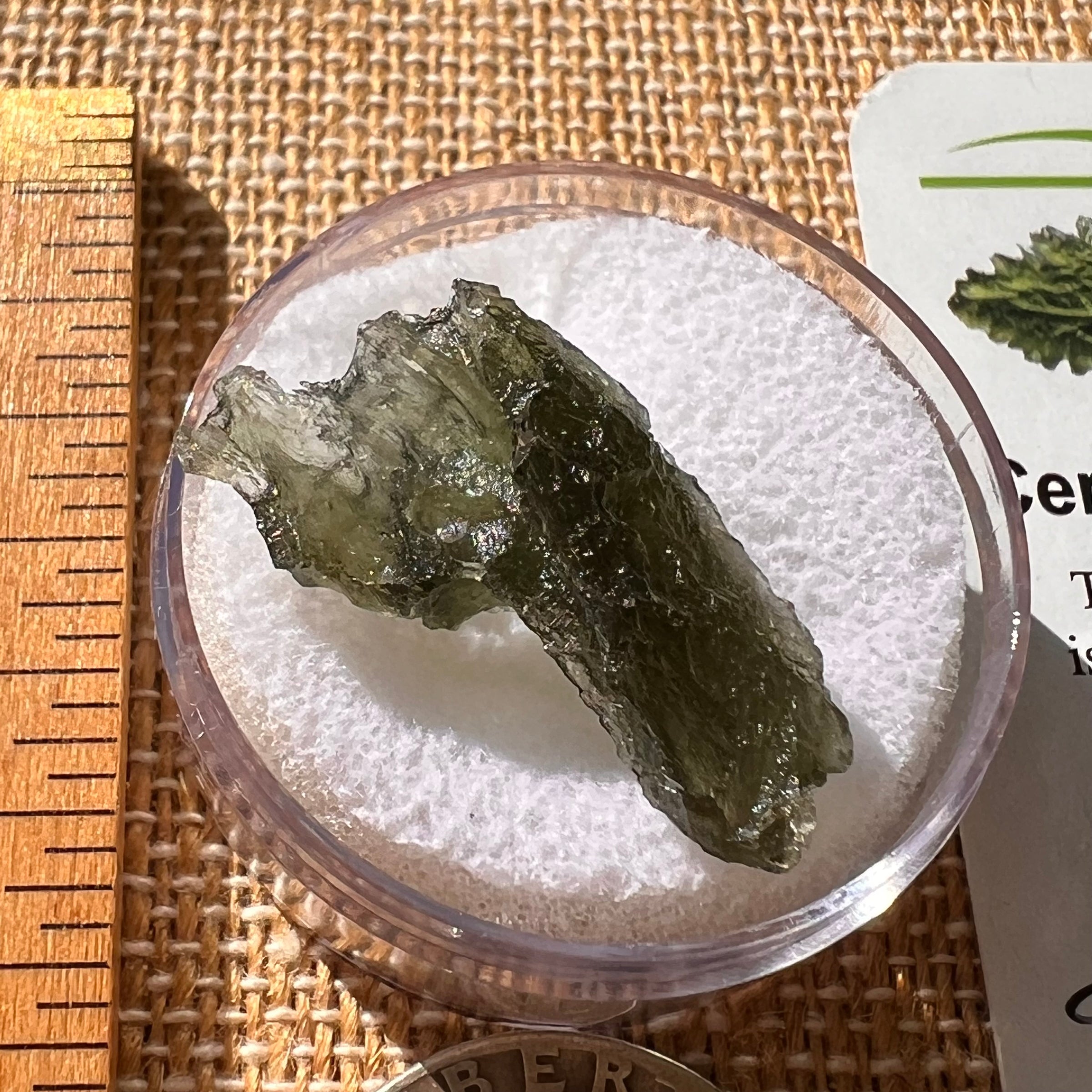 Moldavite 2.4 grams #2116-Moldavite Life