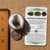 Moldavite 2.4 grams #2116-Moldavite Life