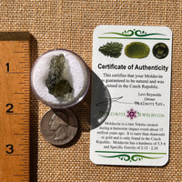 Moldavite 2.4 grams #2116-Moldavite Life