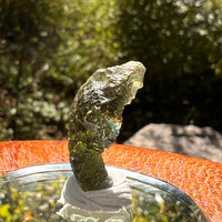 Moldavite 2.4 grams #2136-Moldavite Life