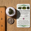 Moldavite 2.4 grams #2136-Moldavite Life