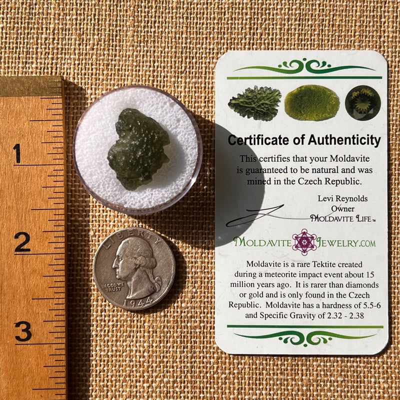 Moldavite 2.4 grams #2136-Moldavite Life