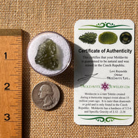 Moldavite 2.4 grams #2138-Moldavite Life