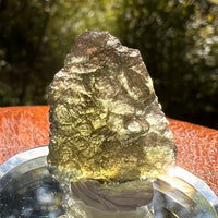 Moldavite 2.4 grams #2138-Moldavite Life
