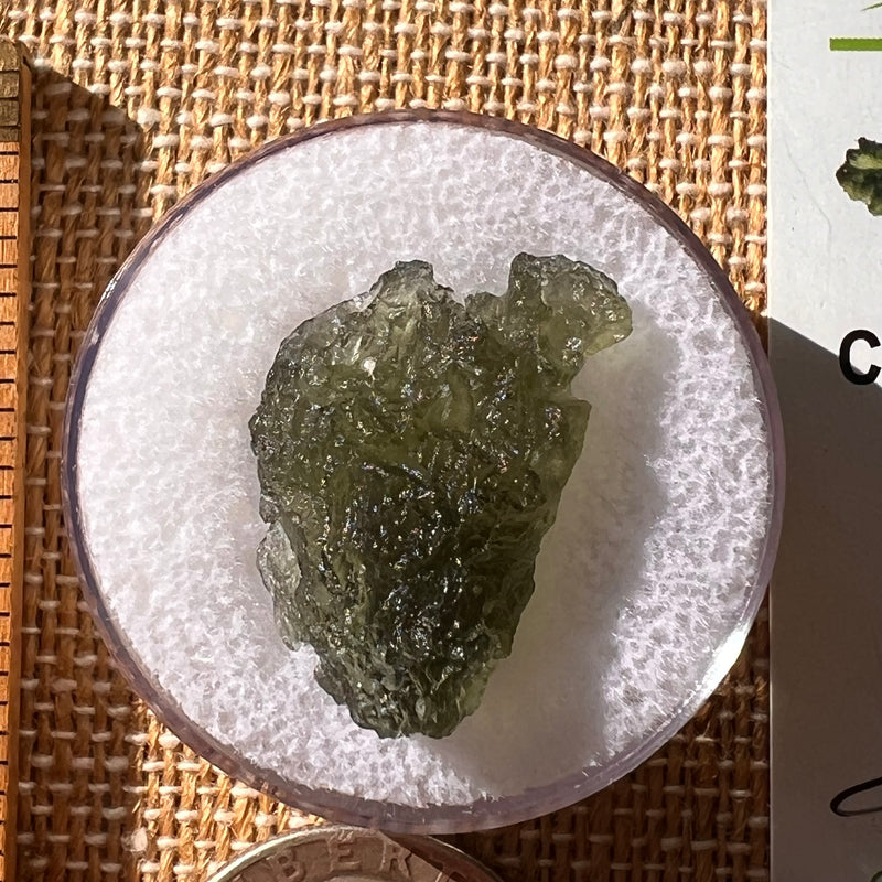 Moldavite 2.4 grams #2147-Moldavite Life