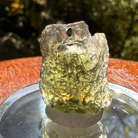 Moldavite 2.4 grams #2153-Moldavite Life