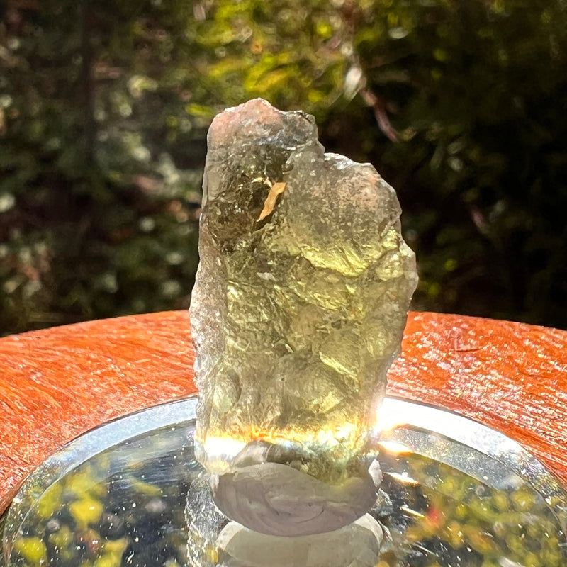 Moldavite 2.4 grams #2192-Moldavite Life
