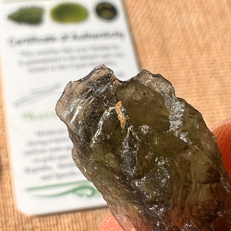 Moldavite 2.4 grams #2192-Moldavite Life