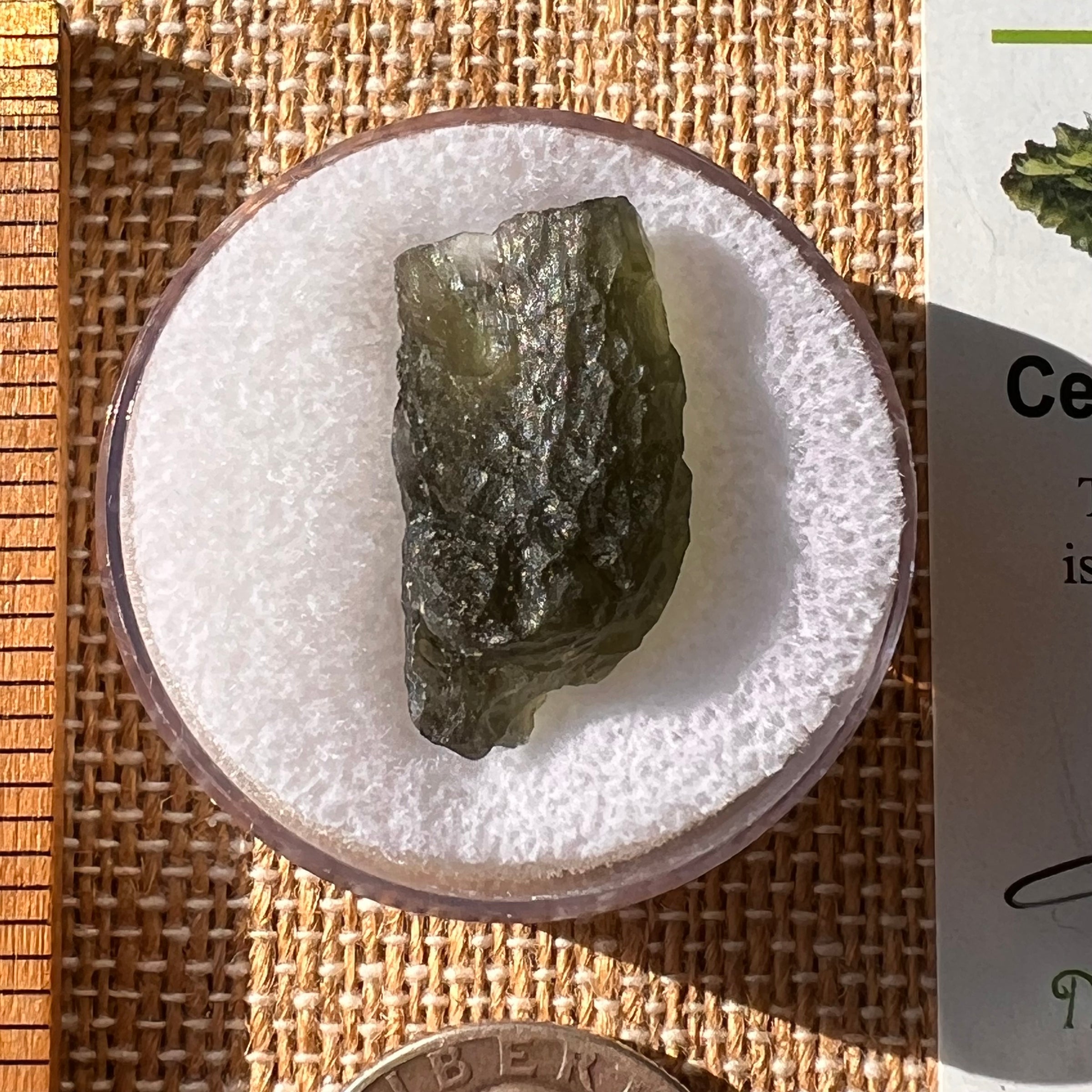 Moldavite 2.4 grams #2192-Moldavite Life