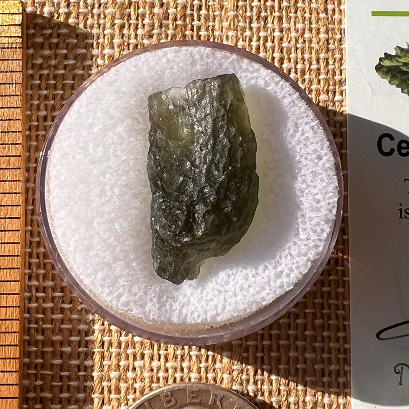 Moldavite 2.4 grams #2192-Moldavite Life