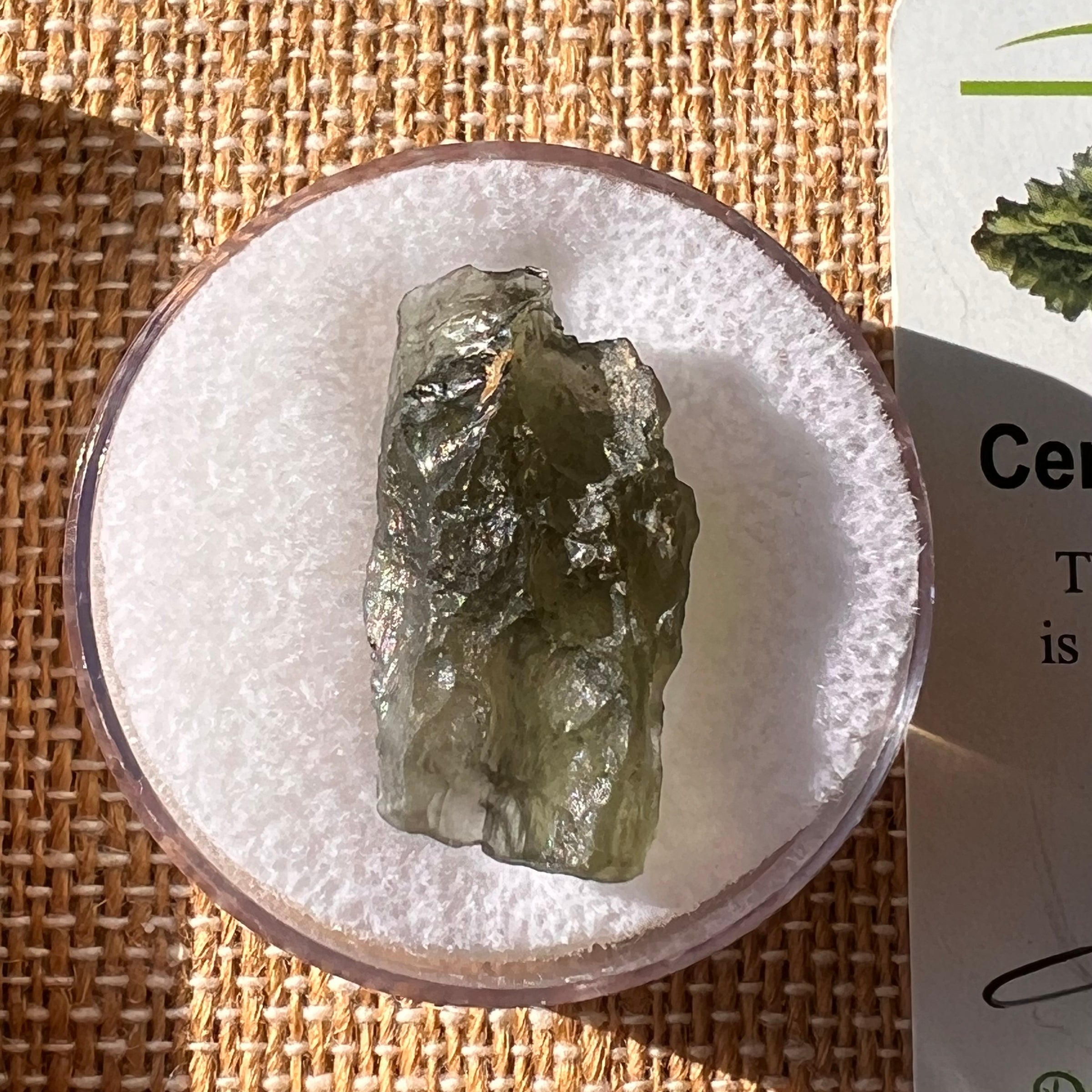 Moldavite 2.4 grams #2192-Moldavite Life