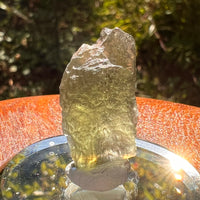 Moldavite 2.4 grams #2192-Moldavite Life
