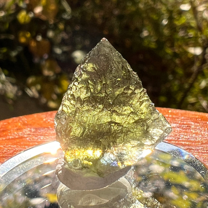 Moldavite 2.4 grams #2194-Moldavite Life