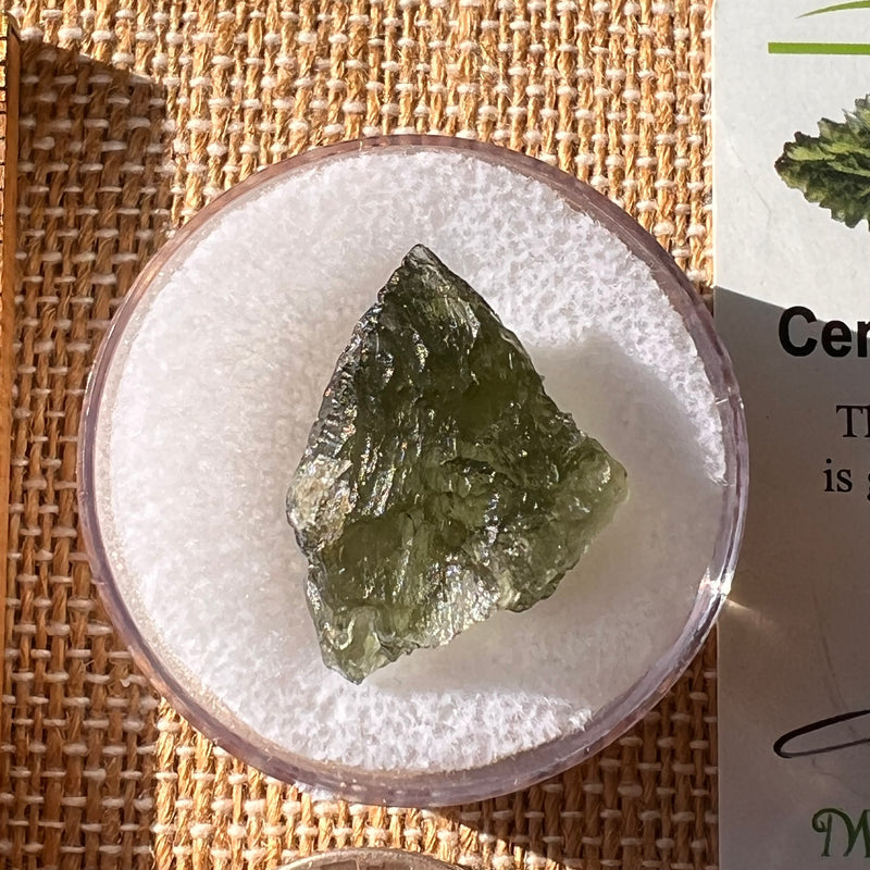 Moldavite 2.4 grams #2194-Moldavite Life