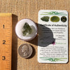 Moldavite 2.4 grams #2194-Moldavite Life