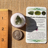 Moldavite 2.4 grams #2194-Moldavite Life