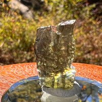 Moldavite 2.4 grams #2319-Moldavite Life